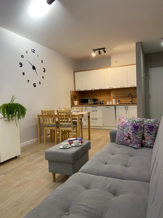 Apartament Bieszczadzkie Widoki Ustrzyki Dolne Ngoại thất bức ảnh